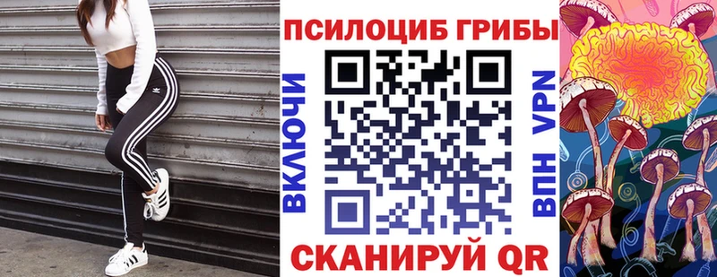 Галлюциногенные грибы Psilocybe Аша